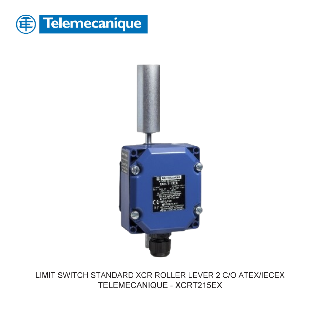 LIMIT SWITCH TELEMECANIQUE - XCKP2502G11