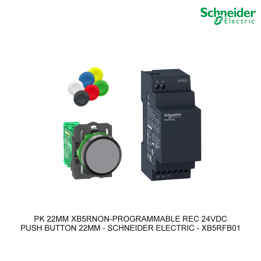 PK 22MM XB5RNON-PROGRAMMABLE REC 24VDC