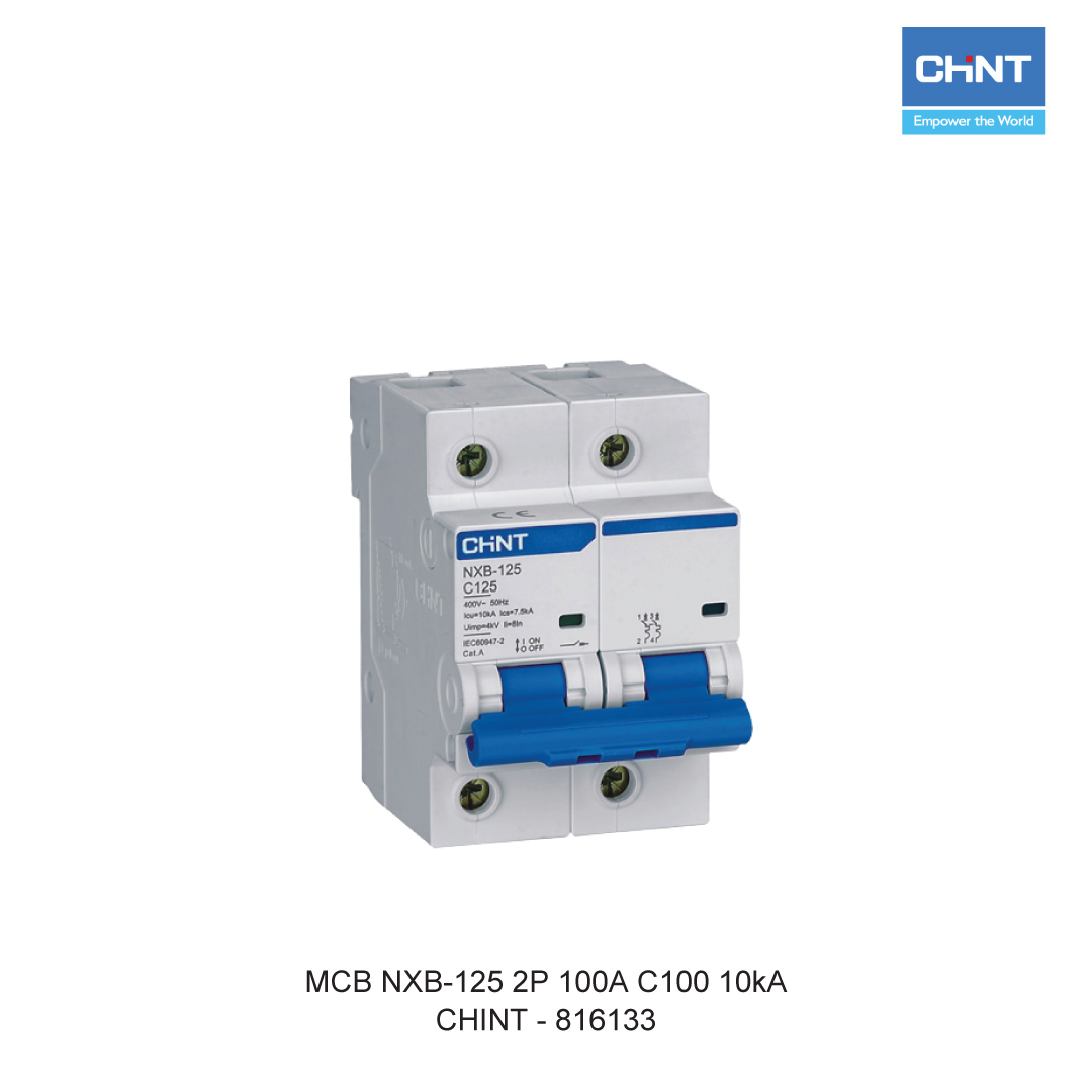 MCB NXB-125 2P 100A C100 10kA
