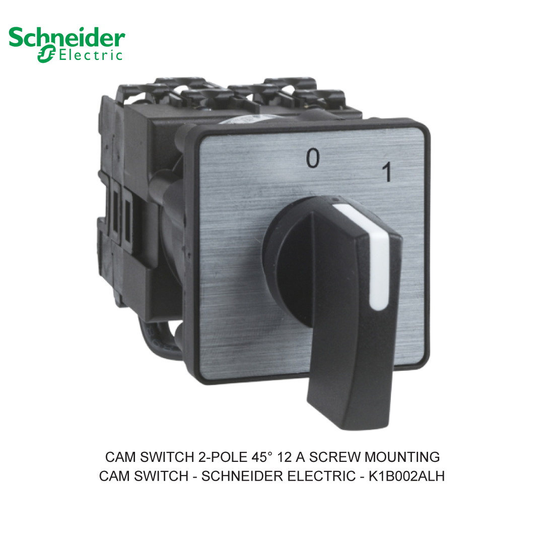 CAM SWITCH 2-POLE 45° 12 A SCREW MOUNTING